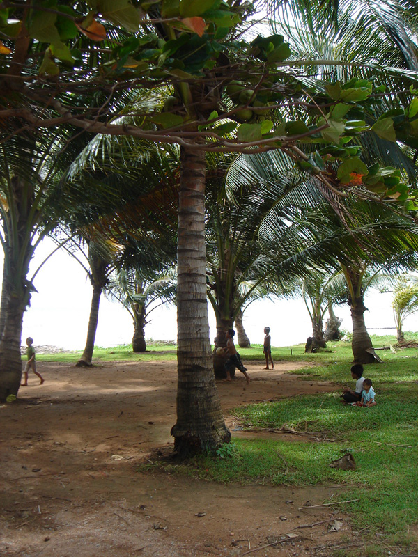 gal/04 - Kep/RIMG1994.jpg